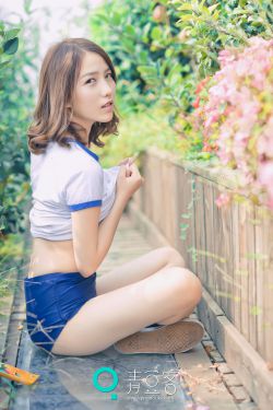 甄子丹电视剧