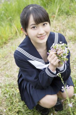 野花视频在线观看免费观看最新