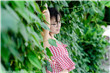 毛片无遮挡高涩爱AV